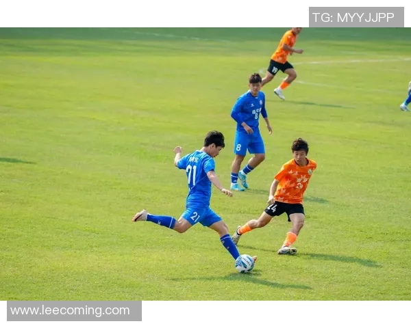 精彩瞬间黑人足球明星集锦视频展现他们的辉煌与激情